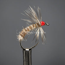 Load image into Gallery viewer, Moorit/eesit (#116) Jamiesons Shetland Spindrift Yarn