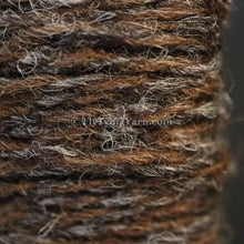 Load image into Gallery viewer, Moorit/shaela (#118) Jamiesons Shetland Spindrift Yarn
