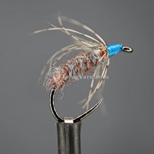 Load image into Gallery viewer, Osprey (#238) Jamiesons Shetland Spindrift Yarn