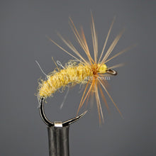 Load image into Gallery viewer, Scotch Broom (#1160) Jamiesons Shetland Spindrift Yarn