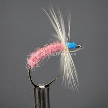 Load image into Gallery viewer, Sorbet (#570) Jamiesons Shetland Spindrift Yarn