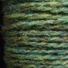 Load image into Gallery viewer, Leprechaun (#259) Jamiesons Shetland Spindrift Yarn
